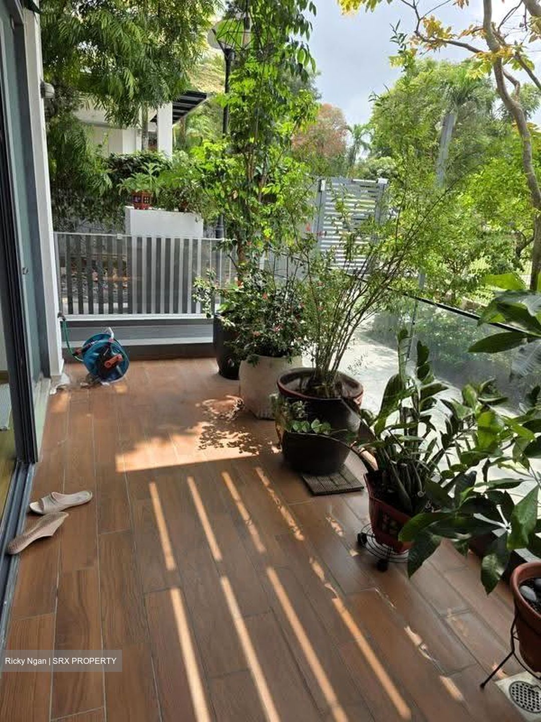 Belgravia Villas (D28), Terrace #634628881